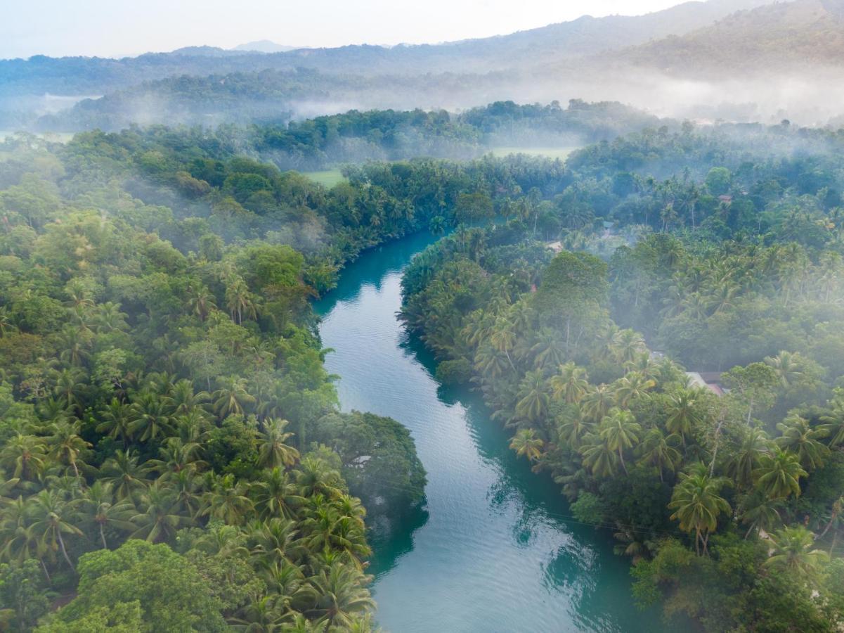 福克斯与萤火虫别墅旅馆 罗博 外观 照片