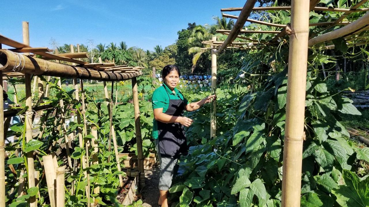 福克斯与萤火虫别墅旅馆 罗博 外观 照片