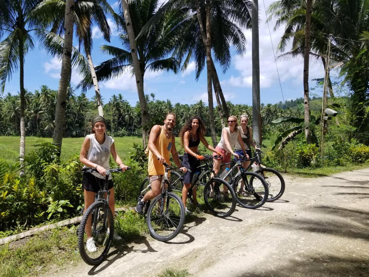 福克斯与萤火虫别墅旅馆 罗博 外观 照片